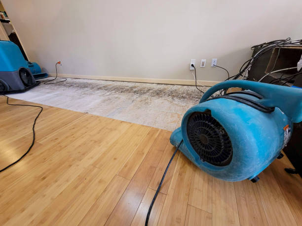 Professional Burst Pipe Water Damage technician working in Three Bridges, NJ